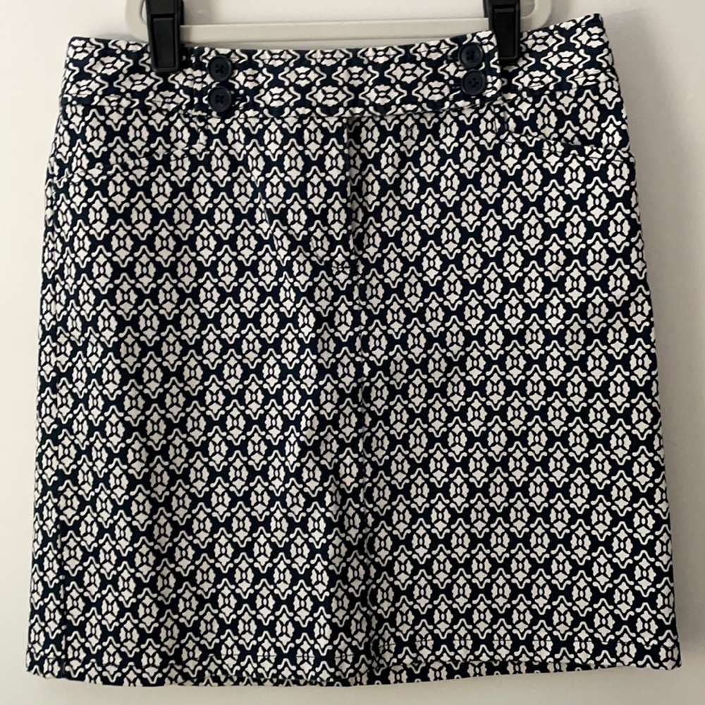Navy and white skirt